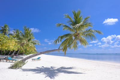 Travel insurance